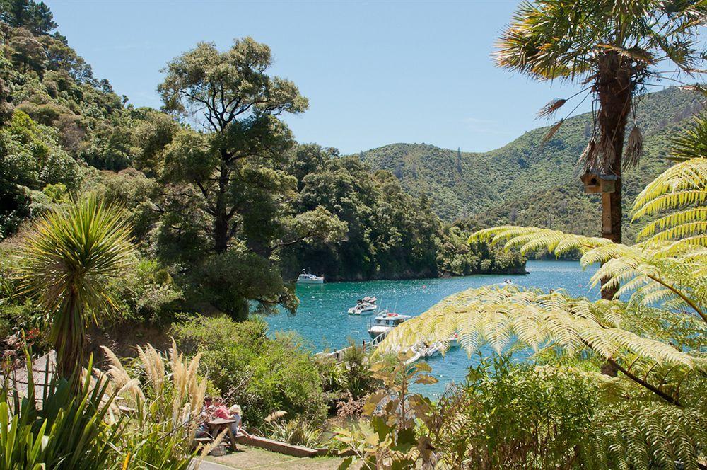 Lochmara Lodge - 20Mins By Boat From Picton Lochmara Bay Экстерьер фото