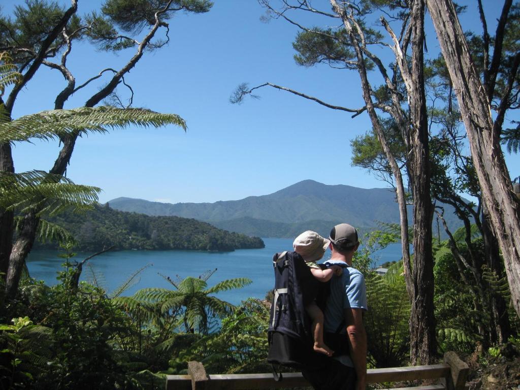 Lochmara Lodge - 20Mins By Boat From Picton Lochmara Bay Экстерьер фото